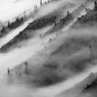 Misty Morning